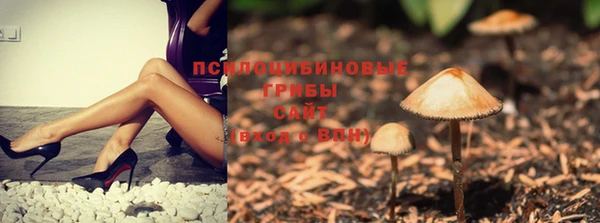 молекула духа Абаза